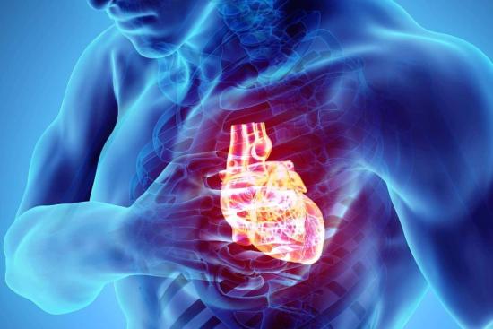 Cardiologie Turquie