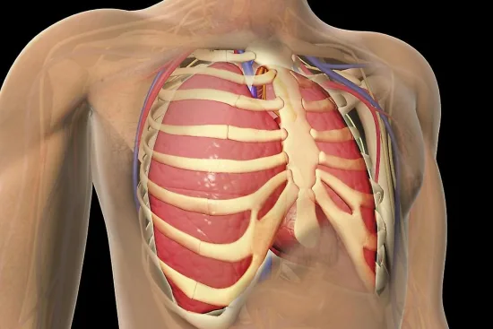 Chirurgie thoracique