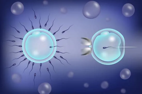 Stem cells for infertility treatment