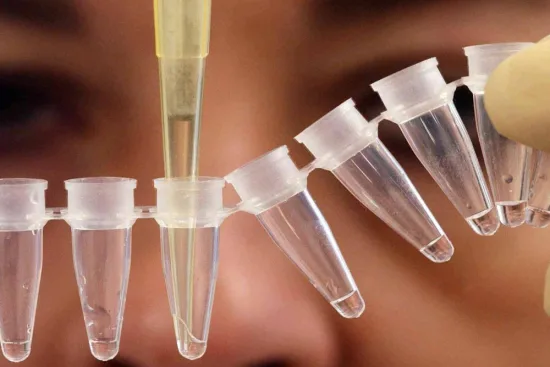 In Vitro Fertilization (IVF)