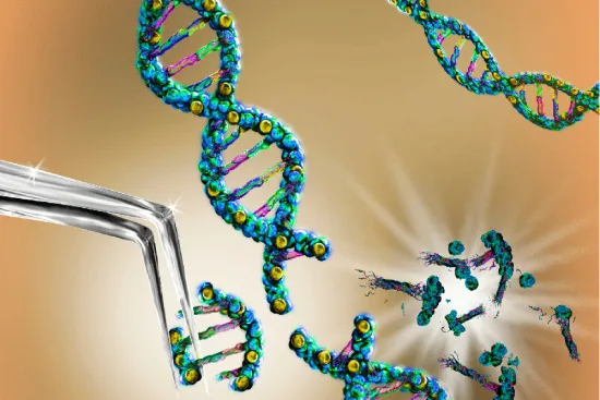 Pre-implantative genetic diagnosis (PDI)