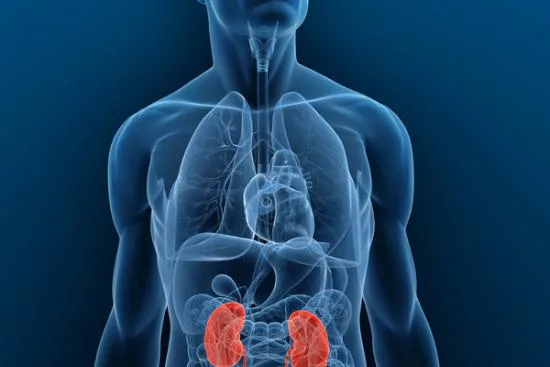 Kidney transplant