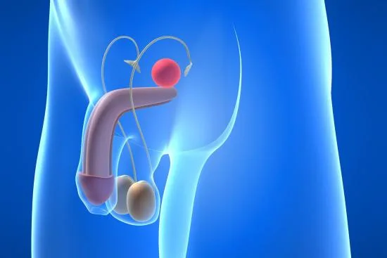 Penile prosthesis