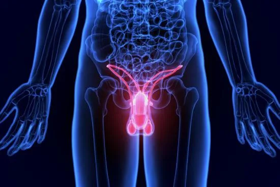 Vasovasostomy