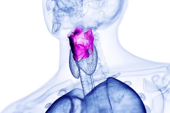 Voice restoration surgery