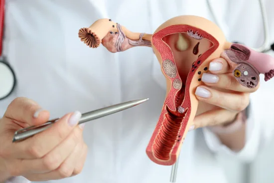 Endometrial biopsy in Turkey Endometrial biopsy