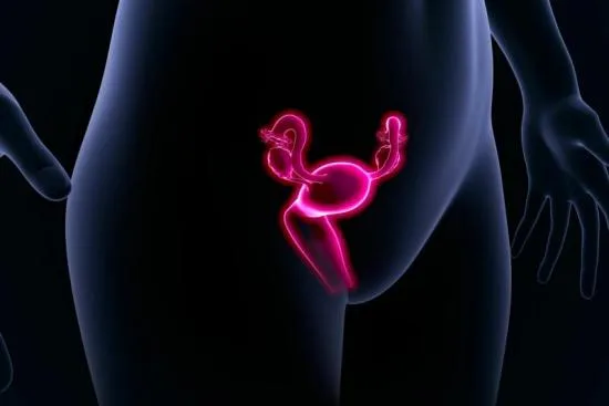 Uterine biopsy Uterine biopsy
