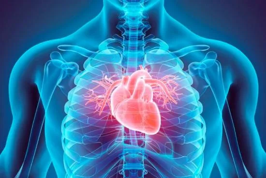 Visite cardiologique chez les meilleurs cardiologues en Turquie 2026 Visite cardiologique chez les meilleurs cardiologues en Turquie 2026