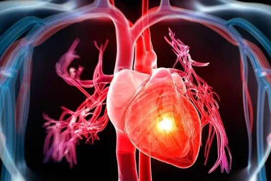 ¿Qué es una cardiopatía congénita? 2026 ¿Qué es una cardiopatía congénita? 2026