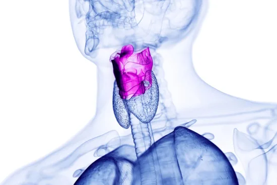 When is a laryngectomy recommended? 2026 When is a laryngectomy recommended? 2026