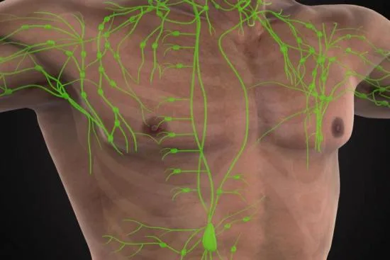 Types of lymph node dissection 2026 Types of lymph node dissection 2026