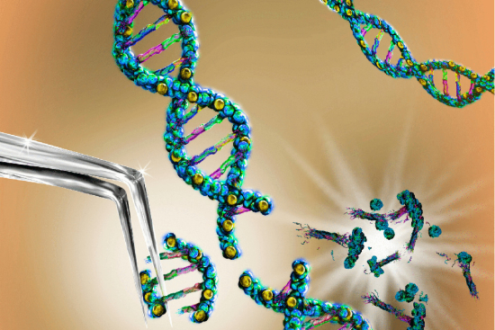 Pre-implantative genetic diagnosis (PDI)