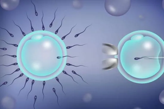 Difference between traditional IVF and ICSI 2026 Difference between traditional IVF and ICSI 2026