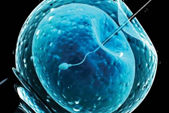 IVF ICSI process in Turkey 2026 IVF ICSI process in Turkey 2026