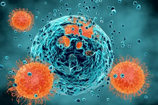 Immune system and cancer: what can be done? 2026 Immune system and cancer: what can be done? 2026
