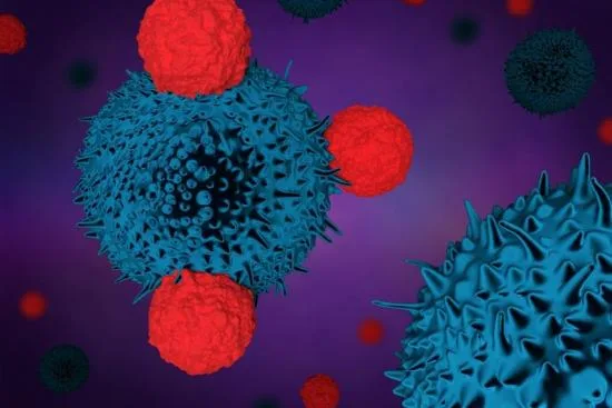 Cancer immunotherapy: How does it work? 2026 Cancer immunotherapy: How does it work? 2026