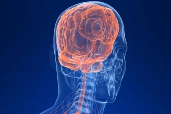 What are the symptoms of trigeminal neuralgia? 2026 What are the symptoms of trigeminal neuralgia? 2026