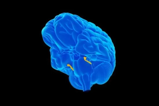 Cómo prevenir la neuralgia del trigémino 2026 Cómo prevenir la neuralgia del trigémino 2026