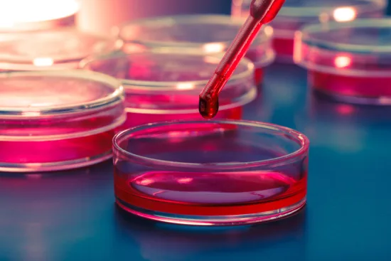 Stem cells: Hope for female infertility 2026 Stem cells: Hope for female infertility 2026