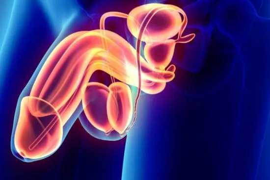 Cost of scrotoplasty in Turkey 2026 Cost of scrotoplasty in Turkey 2026