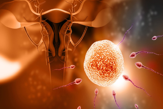 Reproductive medicine Turkey
