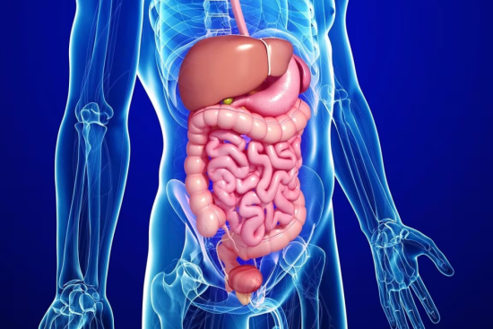Gastroenterología Turquía