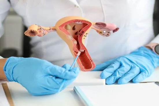Preparing for ovariectomy surgery 2026 Preparing for ovariectomy surgery 2026