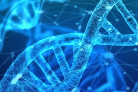 اختبار الوراثة في تركيا 2026 اختبار الوراثة في تركيا 2026