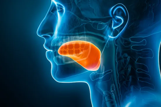 Risk factors for tongue cancer 2026 Risk factors for tongue cancer 2026