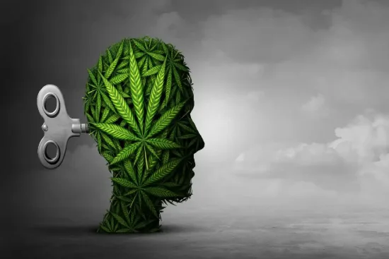 ¿Cuánto se tarda en dejar de fumar cannabis? Línea temporal 2026 ¿Cuánto se tarda en dejar de fumar cannabis? Línea temporal 2026