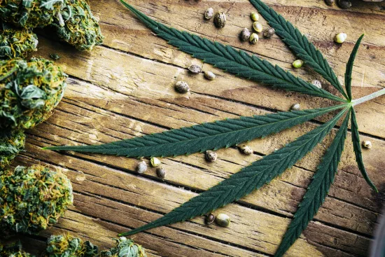 ¿Qué es la dependencia del cannabis? 2026 ¿Qué es la dependencia del cannabis? 2026