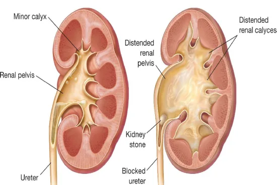 Follow-up after treatment 2026 Follow-up after treatment 2026