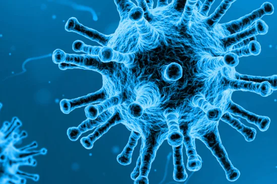 Síntomas de las enfermedades infecciosas 2026 Síntomas de las enfermedades infecciosas 2026