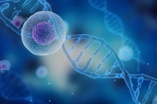 ¿Qué es la terapia con células madre para los ojos? 2026 ¿Qué es la terapia con células madre para los ojos? 2026