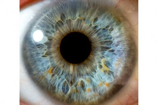Treatment options for retinitis pigmentosa in Turkey 2026 Treatment options for retinitis pigmentosa in Turkey 2026