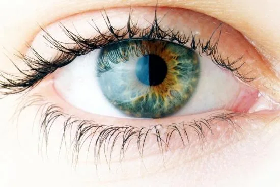What is retinitis pigmentosa? 2026 What is retinitis pigmentosa? 2026