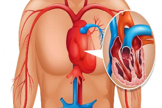 Symptoms of heart valve disease 2026 Symptoms of heart valve disease 2026