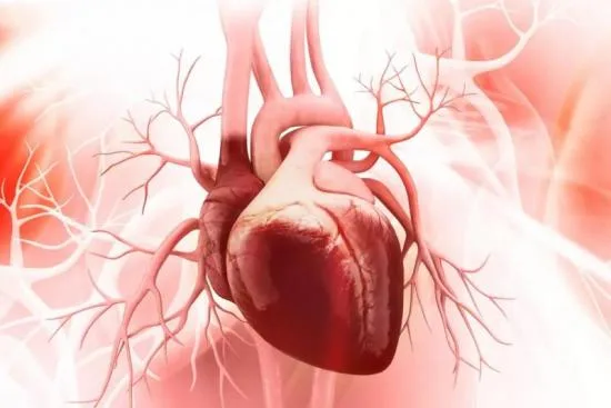 Development of heart valve disease 2026 Development of heart valve disease 2026