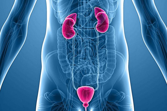 Urology Turkey Urology Turkey