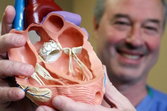 Replacement of Heart Valves